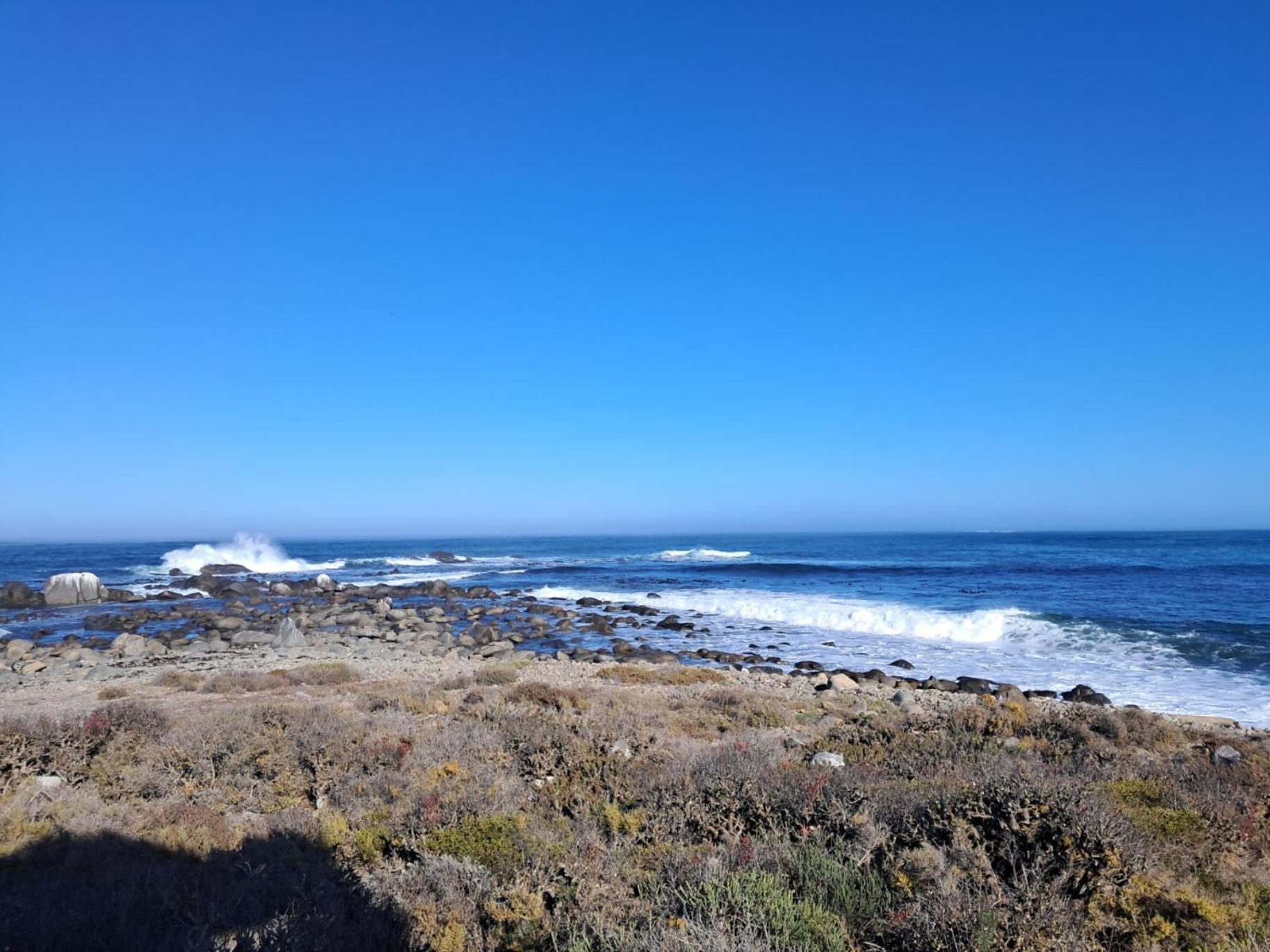 Abalone Guesthouse Jacobs Bay Bagian luar foto