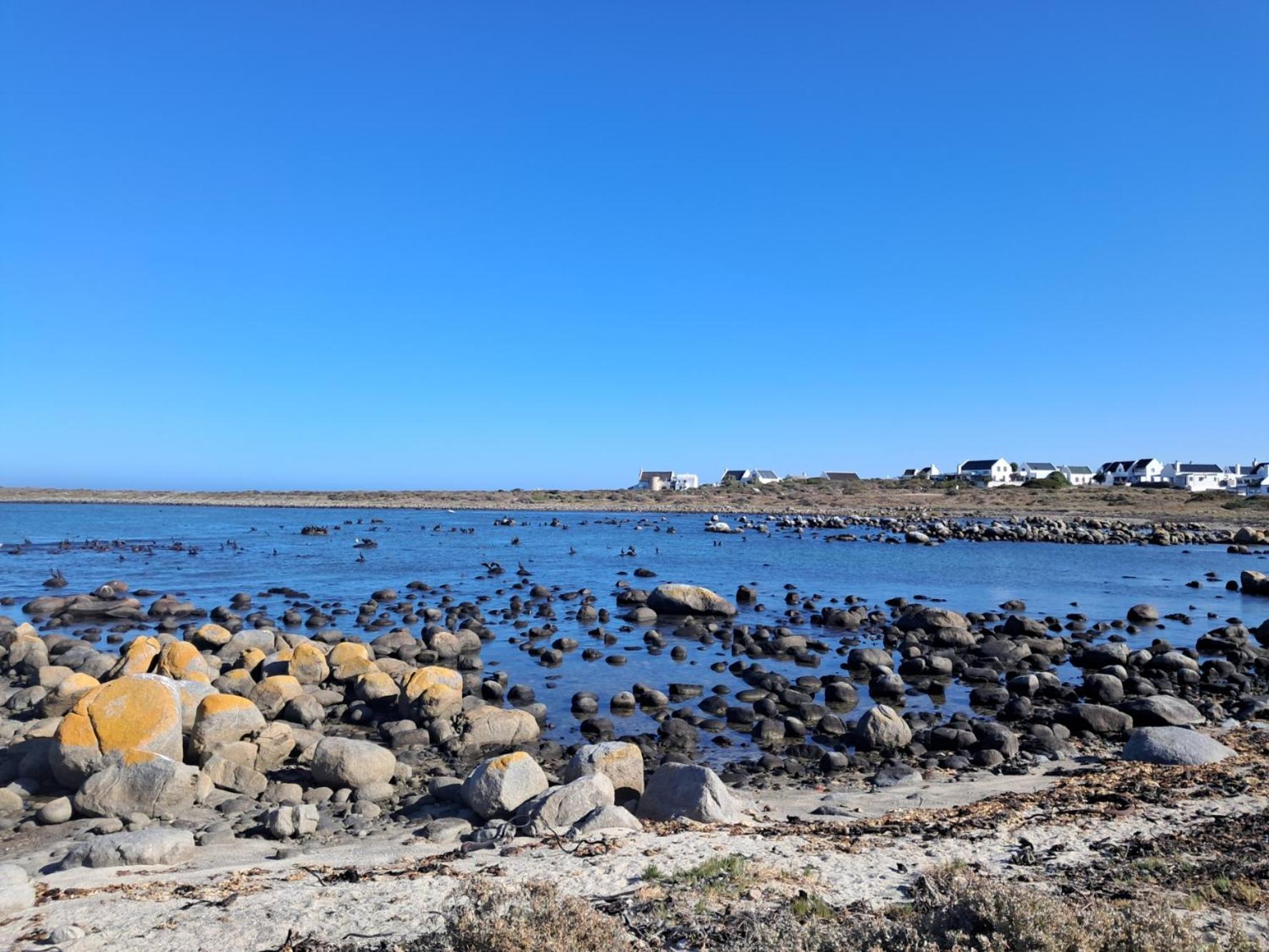Abalone Guesthouse Jacobs Bay Bagian luar foto